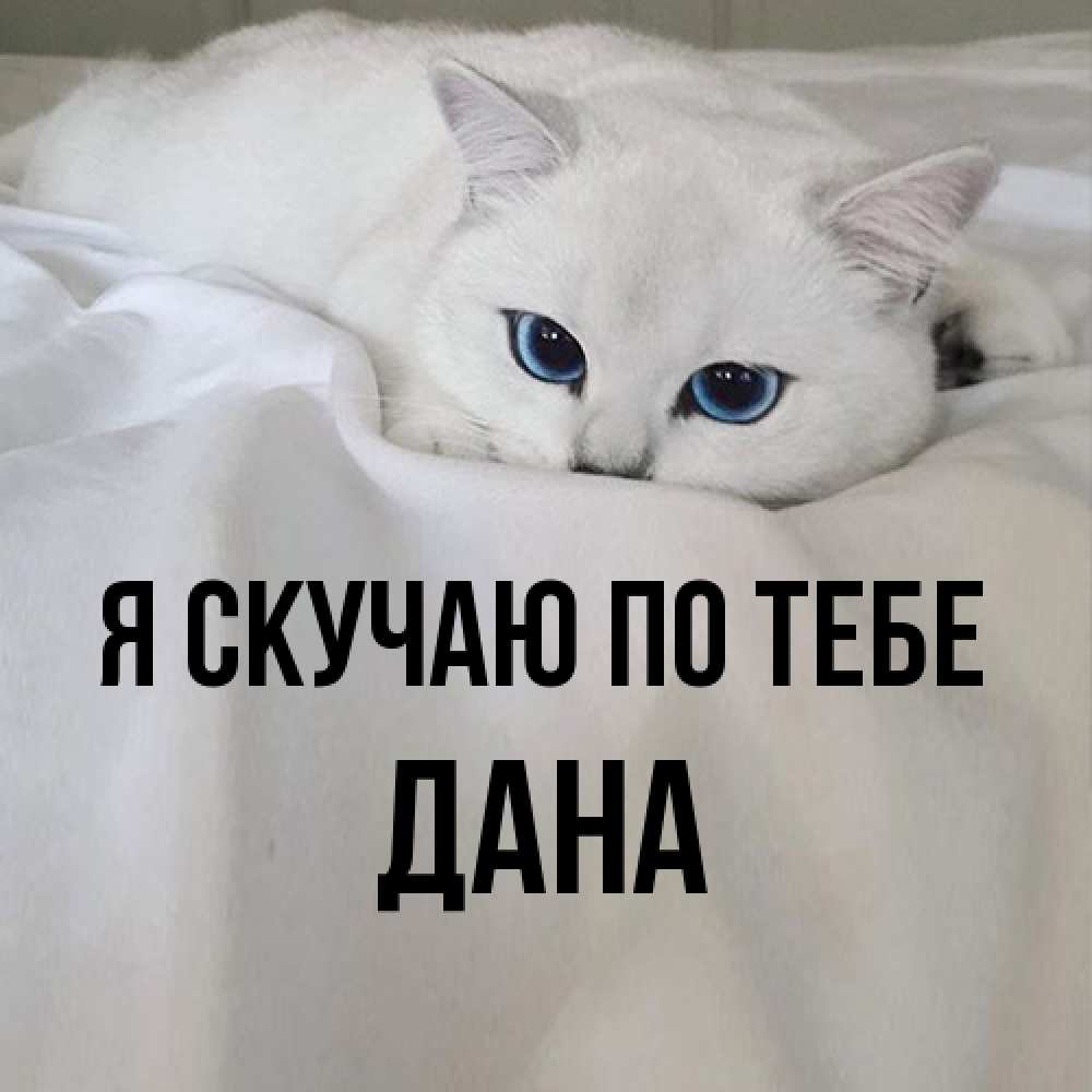 Открытка  с именем. Дана, Я скучаю по тебе  