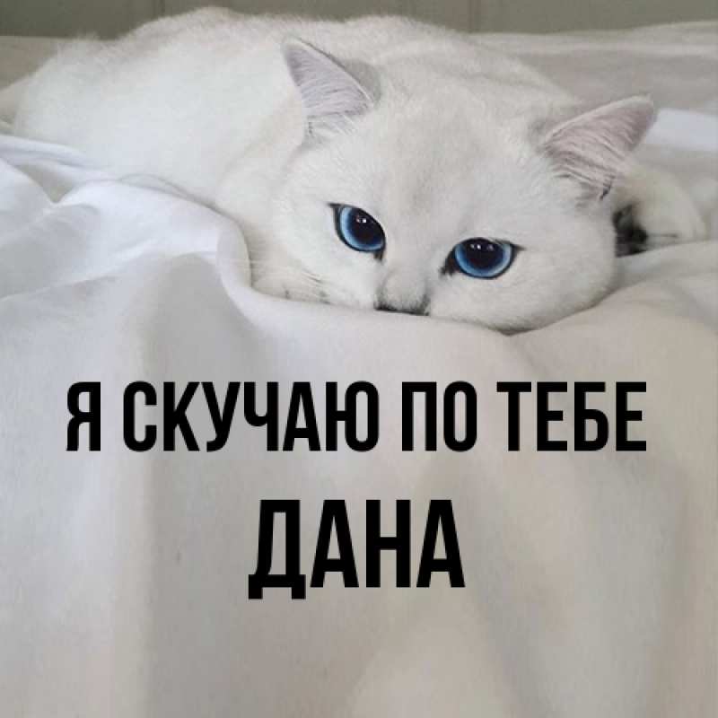 Картинка Я скучаю по тебе, Дана