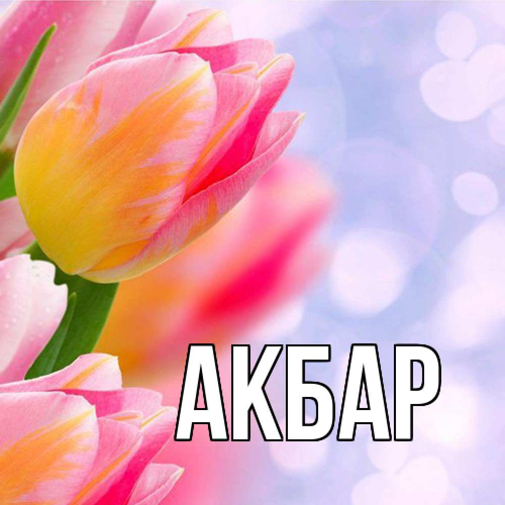 Открытка  с именем. Акбар, Главная  