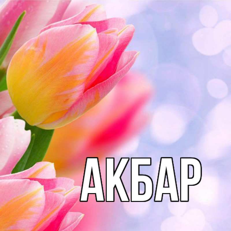 Картинка  с именем , Акбар