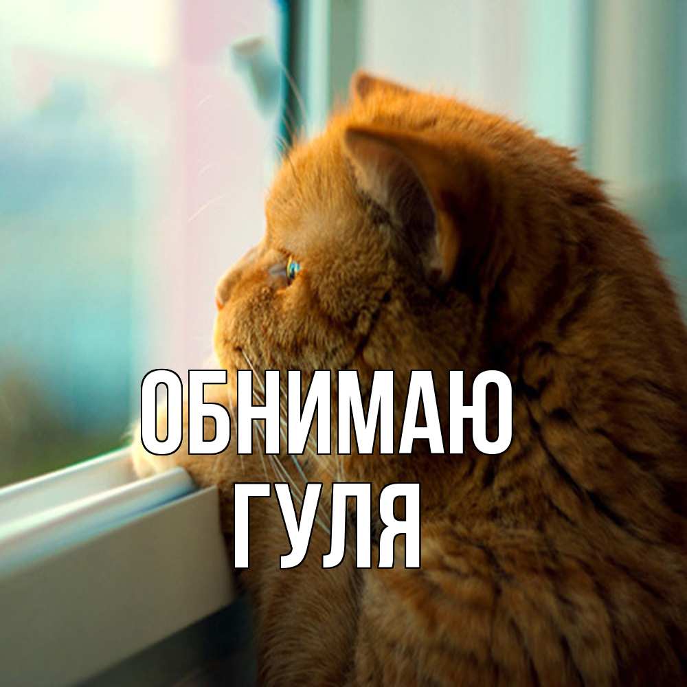 Открытка  с именем. Гуля, Обнимаю  