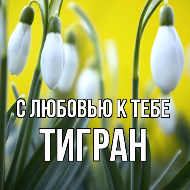 Картинка С любовью к тебе, Тигран