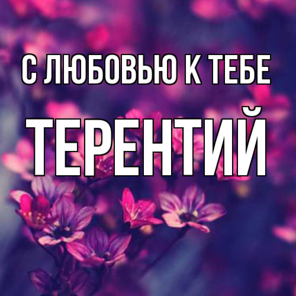 Открытка  с именем. Терентий, С любовью к тебе  