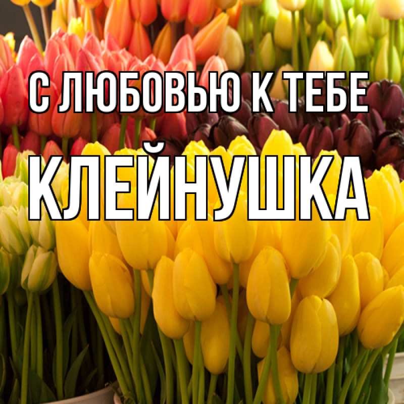Картинка С любовью к тебе, Клейнушка