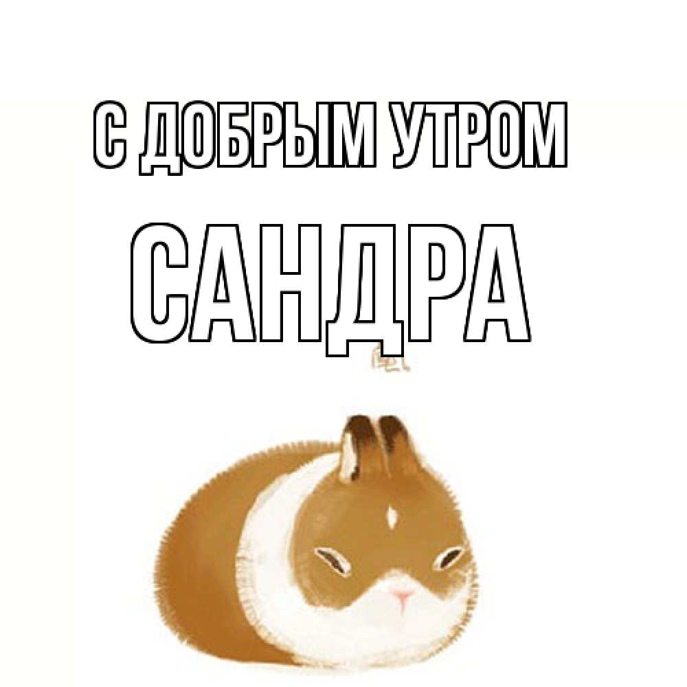 Открытка  с именем. Сандра, С добрым утром  