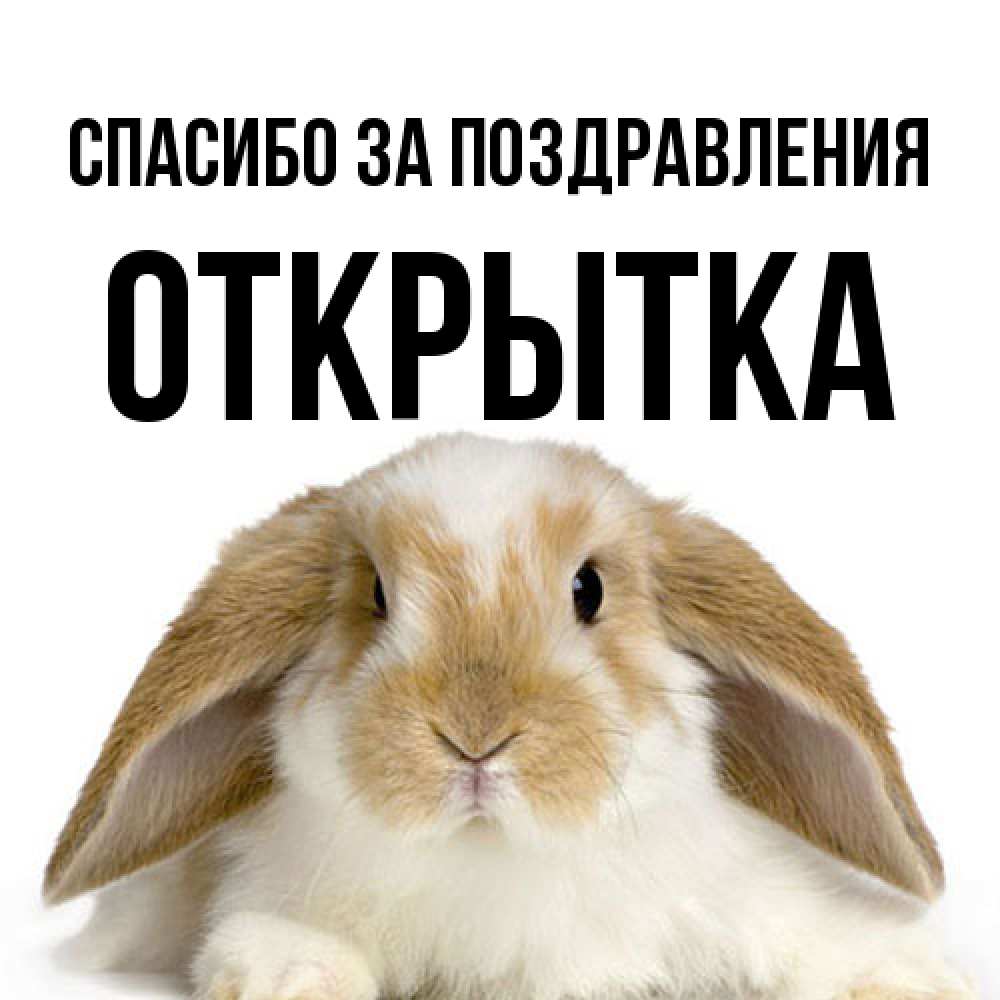 Открытка  с именем. открытка, Спасибо за поздравления  