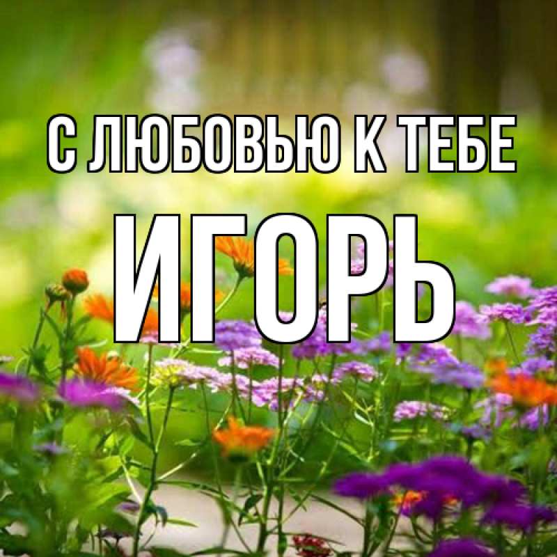 Картинка С любовью к тебе, Игорь