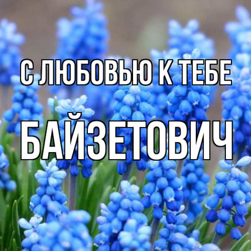Картинка С любовью к тебе, Байзетович