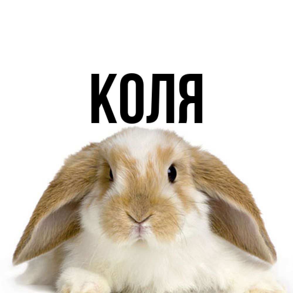 Открытка  с именем. коля, Главная  