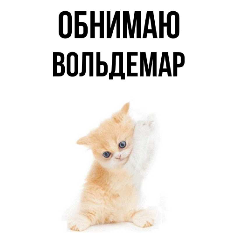 Картинка Обнимаю, Вольдемар