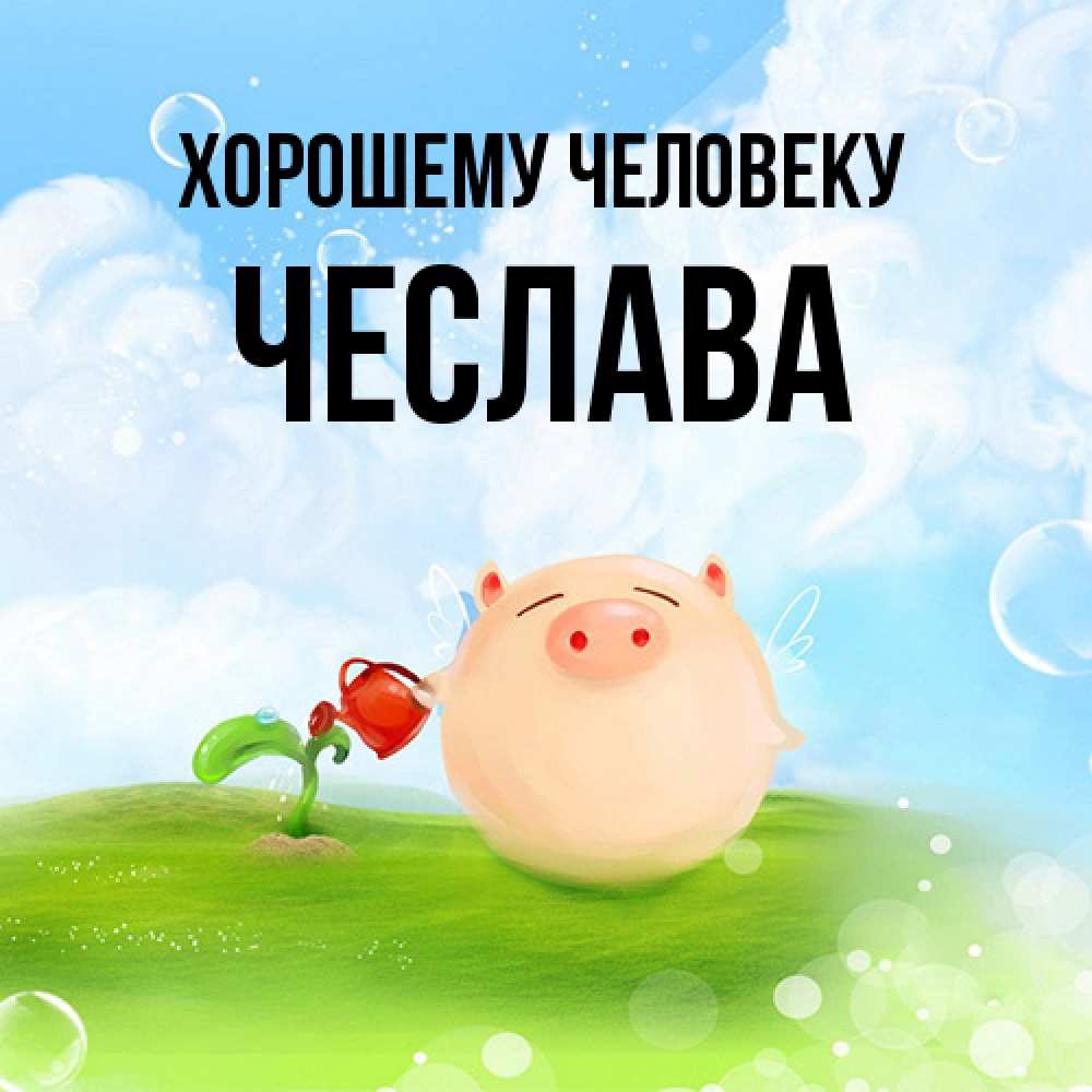 Открытка  с именем. Чеслава, Хорошему человеку  