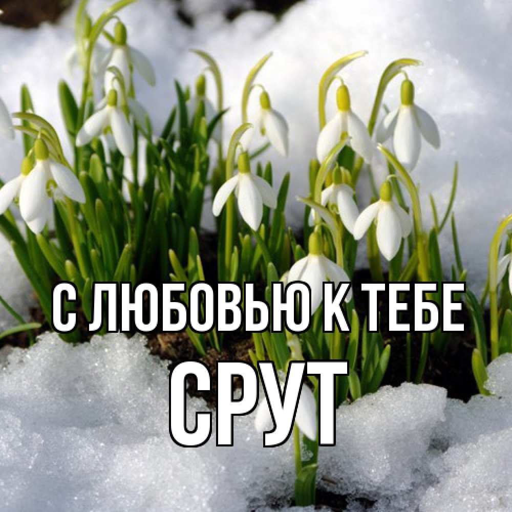 Открытка  с именем. срут, С любовью к тебе  