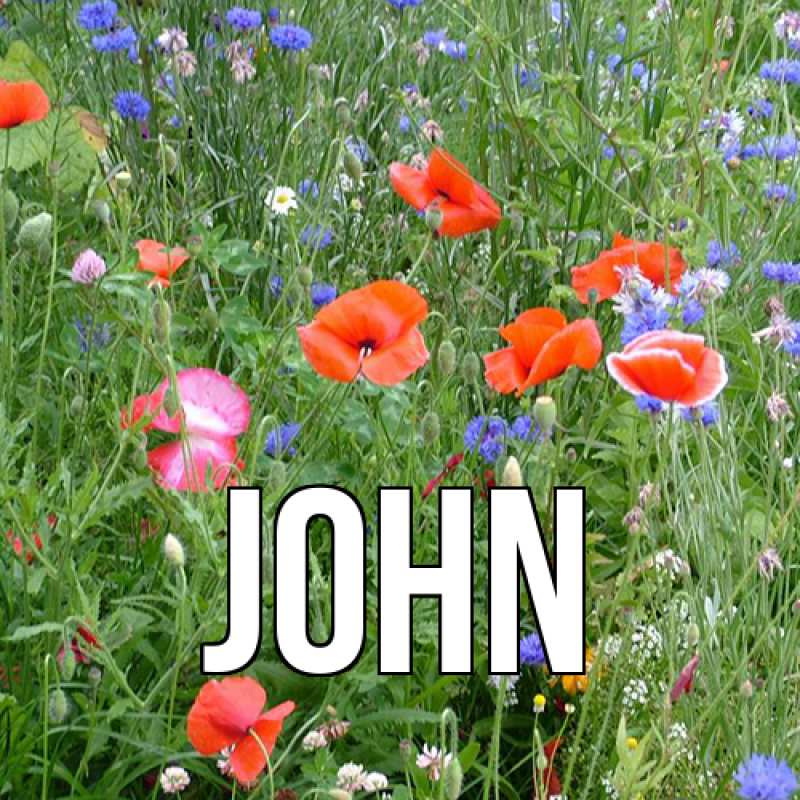 Картинка  с именем , John