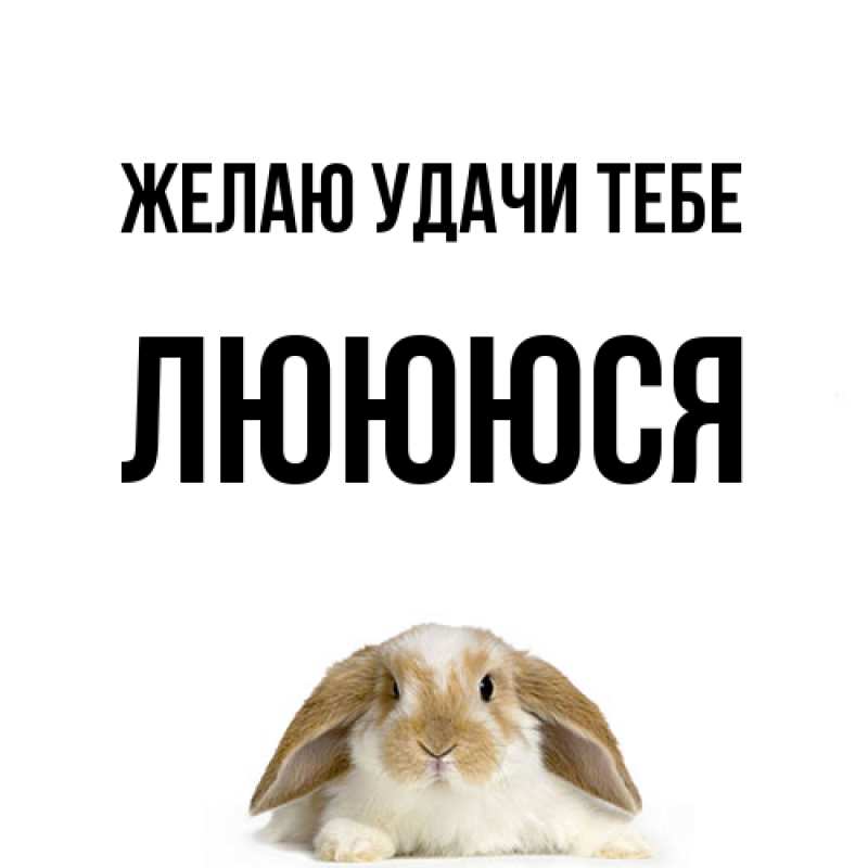 Картинка Желаю удачи тебе, Люююся