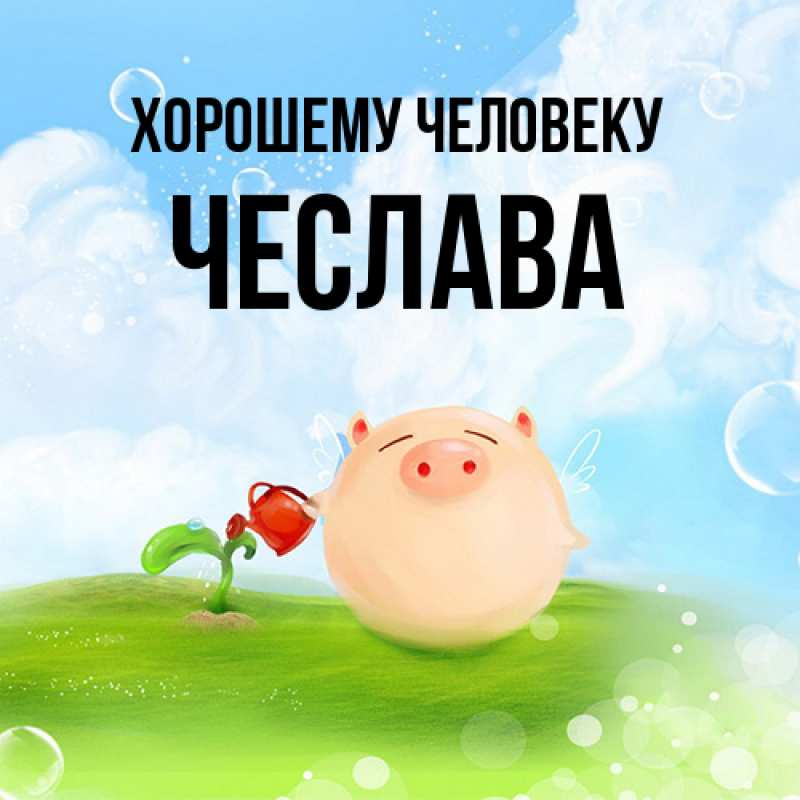 Картинка Хорошему человеку, Чеслава