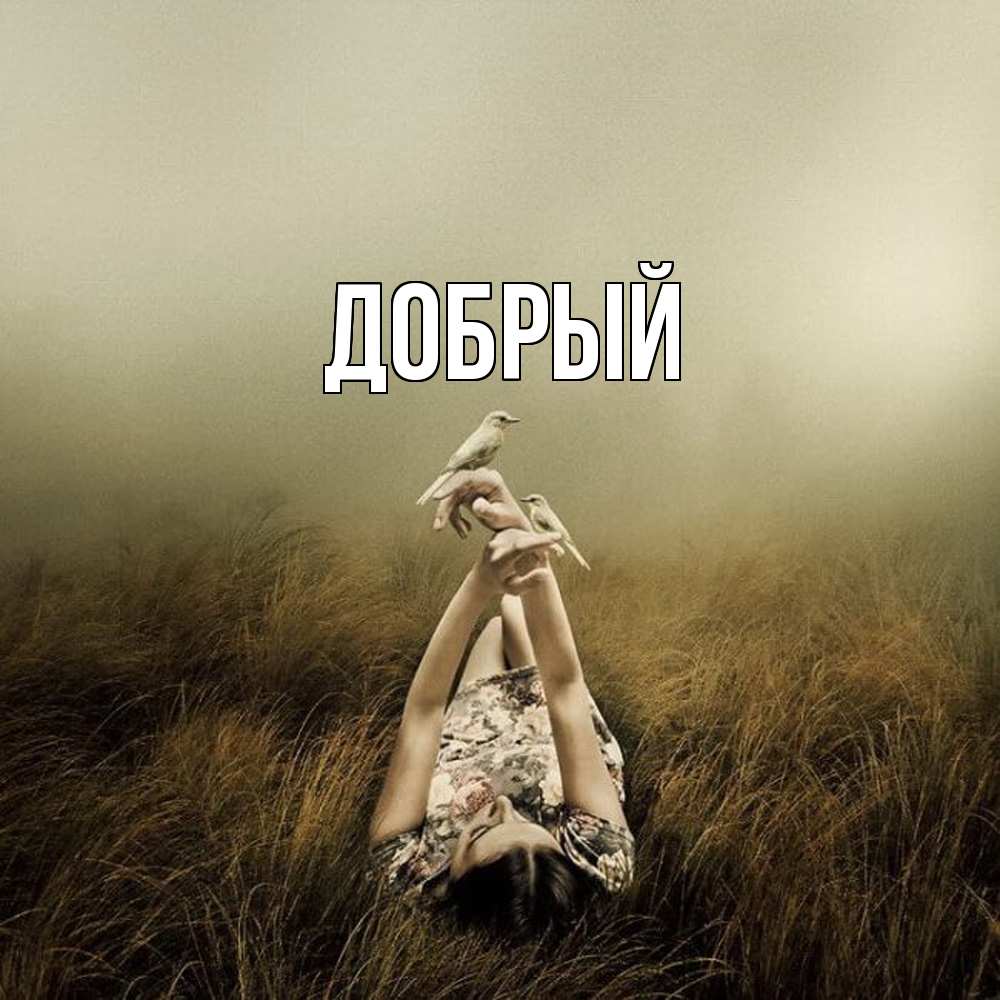 Открытка  с именем. Добрый, Главная  
