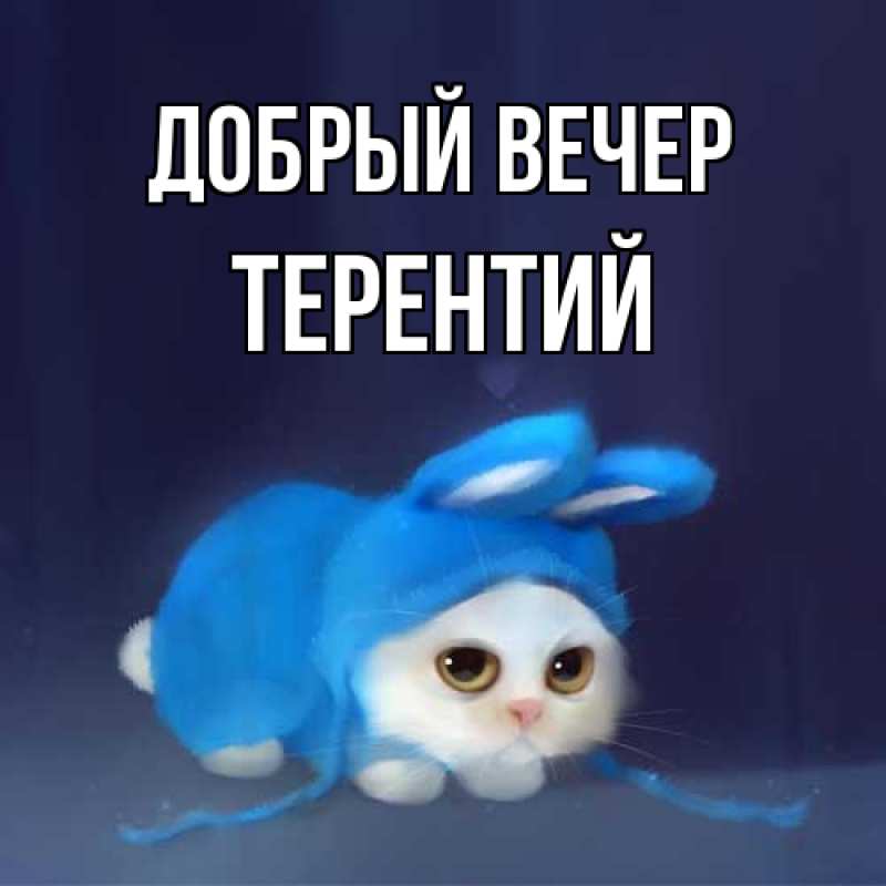Картинка Добрый вечер, Терентий