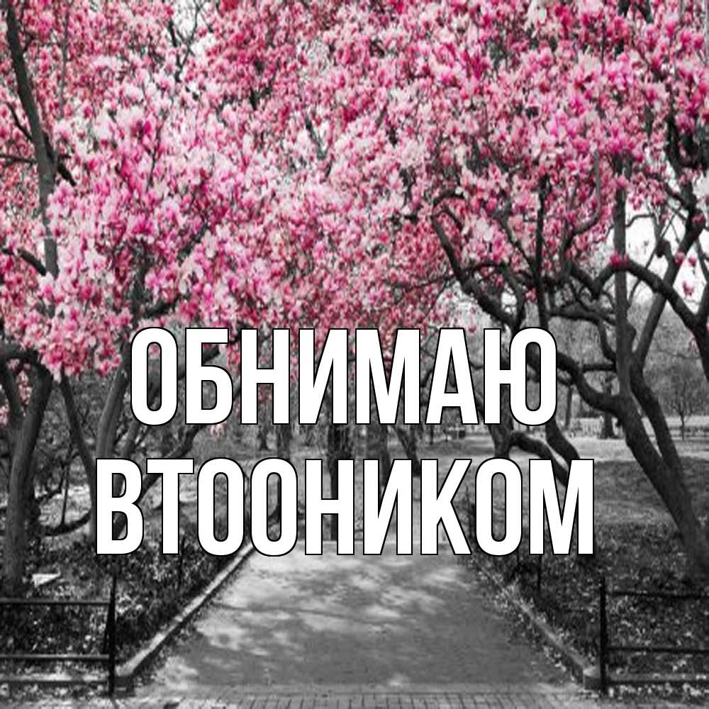 Открытка  с именем. Втооником, Обнимаю  