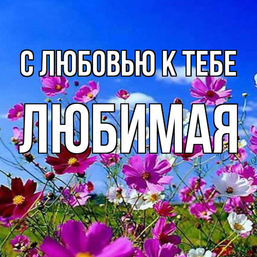 Открытка  с именем. Любимая, С любовью к тебе  