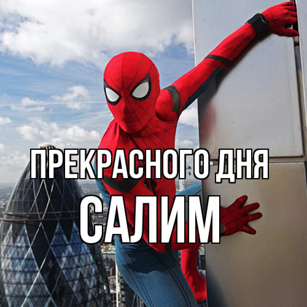 Открытка  с именем. Салим, Прекрасного дня  