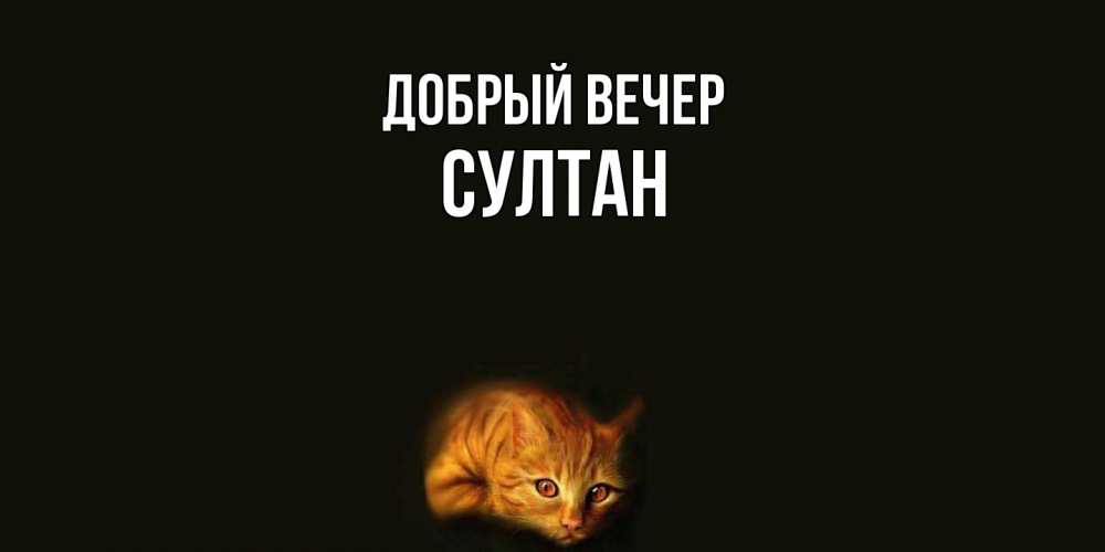 Открытка  с именем. Султан, Добрый вечер  
