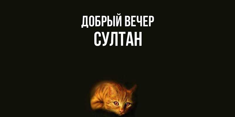 Картинка Добрый вечер, Султан