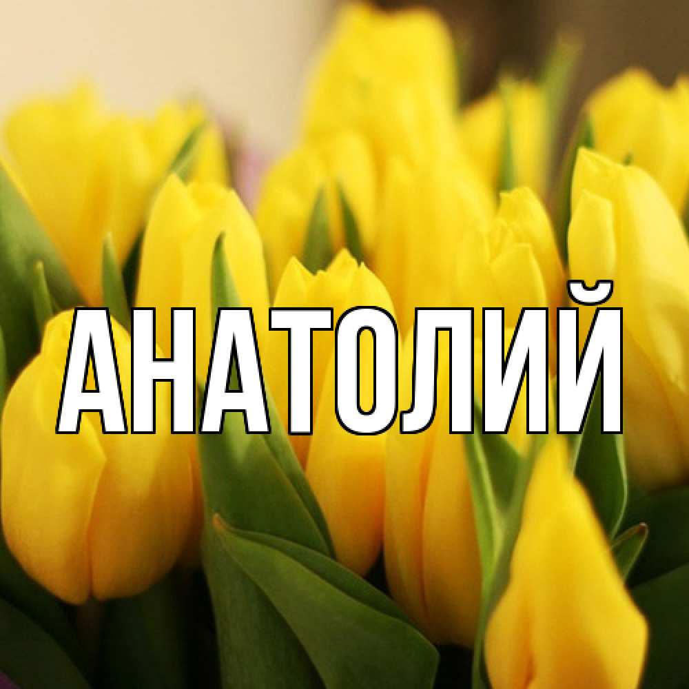 Открытка  с именем. Анатолий, Главная  