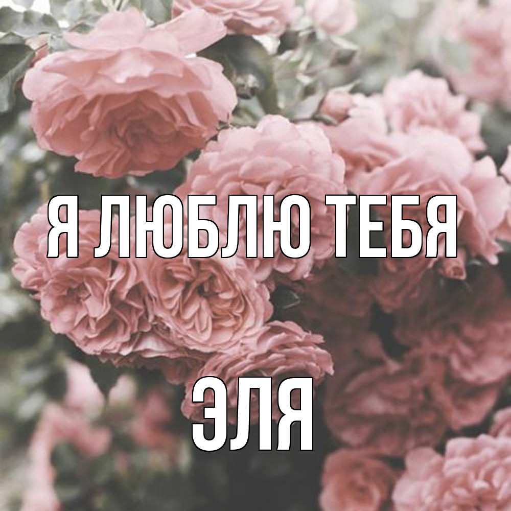 Открытка  с именем. Эля, Я люблю тебя  