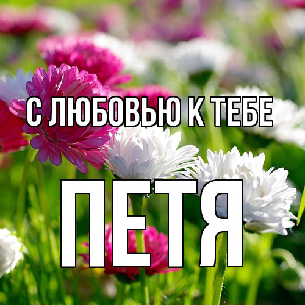 Открытка  с именем. петя, С любовью к тебе  