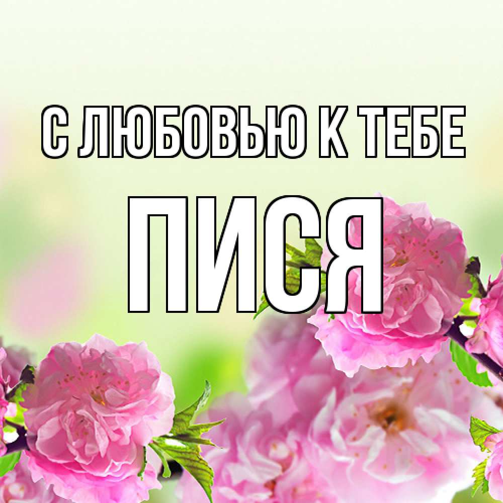Открытка  с именем. пися, С любовью к тебе  