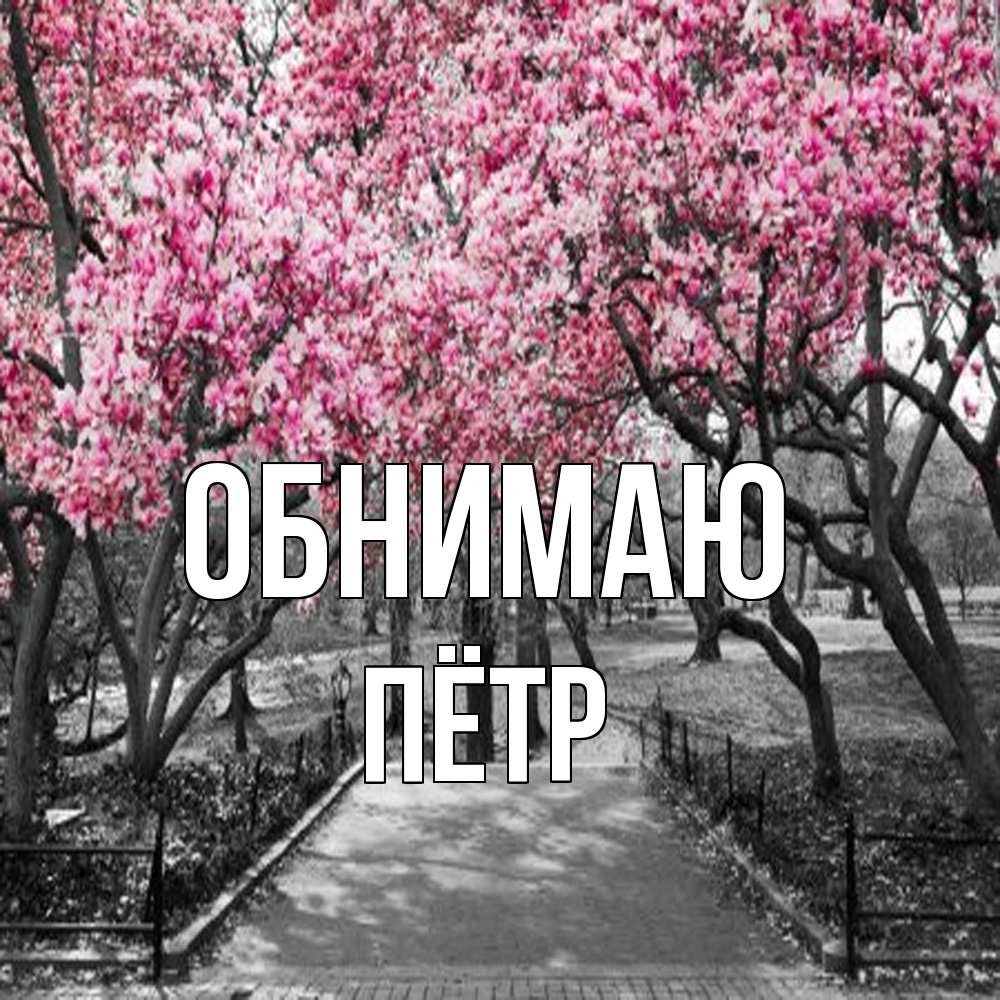 Открытка  с именем. пётр, Обнимаю  