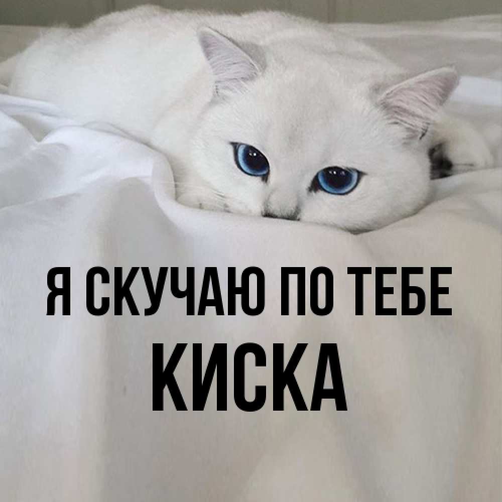 Открытка  с именем. Киска, Я скучаю по тебе  