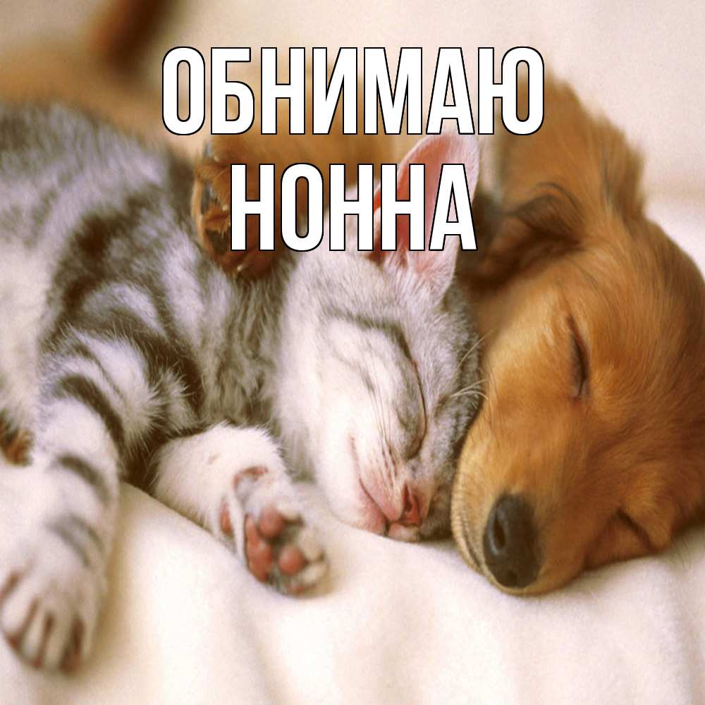 Открытка  с именем. Нонна, Обнимаю  