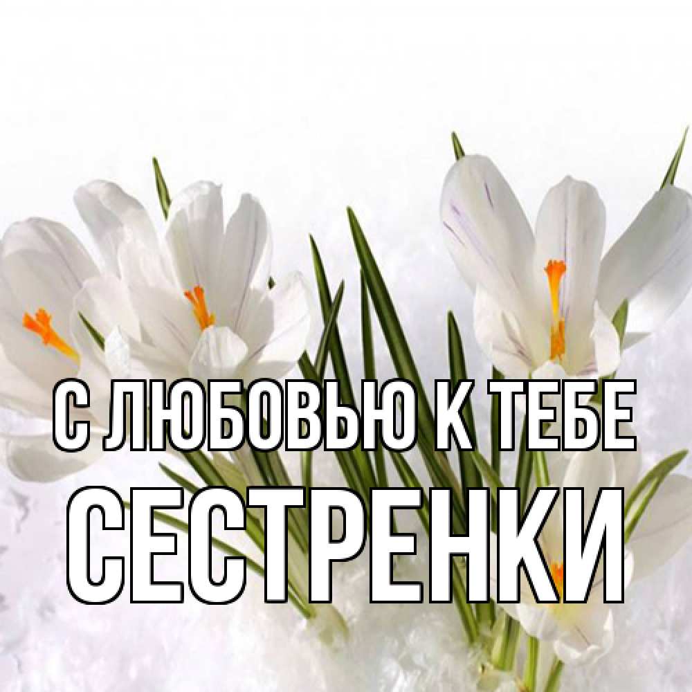 Открытка  с именем. Сестренки, С любовью к тебе  