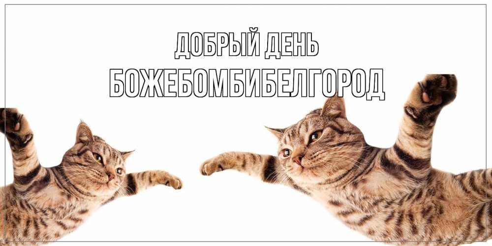 Открытка  с именем. божебомбибелгород, Добрый день  