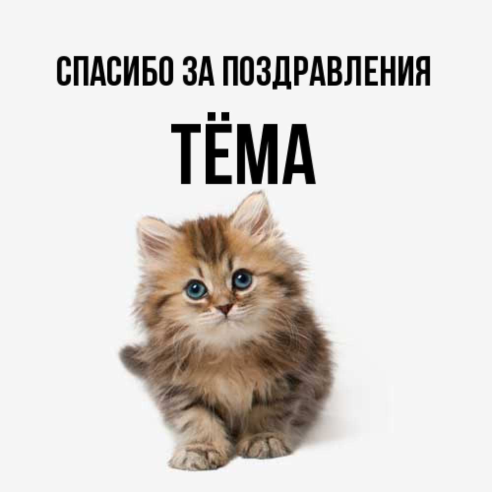 Открытка  с именем. Тёма, Спасибо за поздравления  