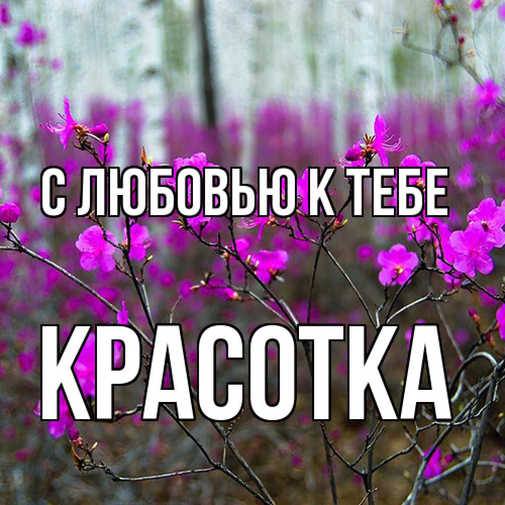 Открытка  с именем. Красотка, С любовью к тебе  