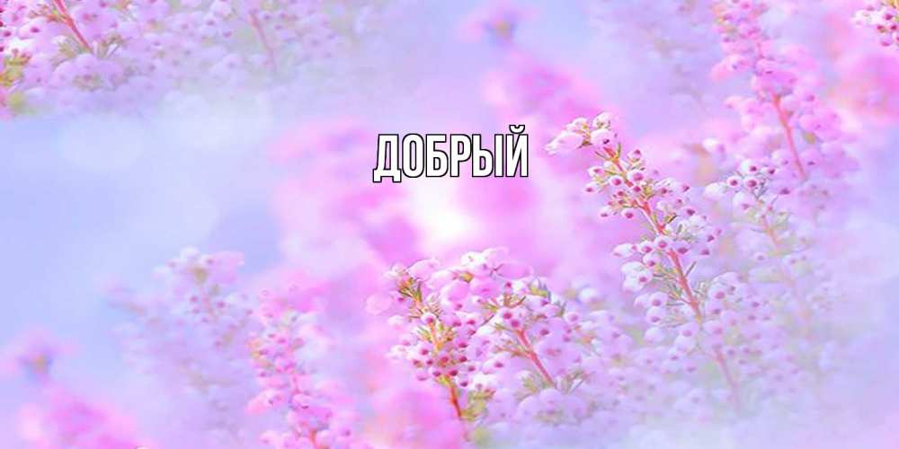 Открытка  с именем. Добрый, Главная  