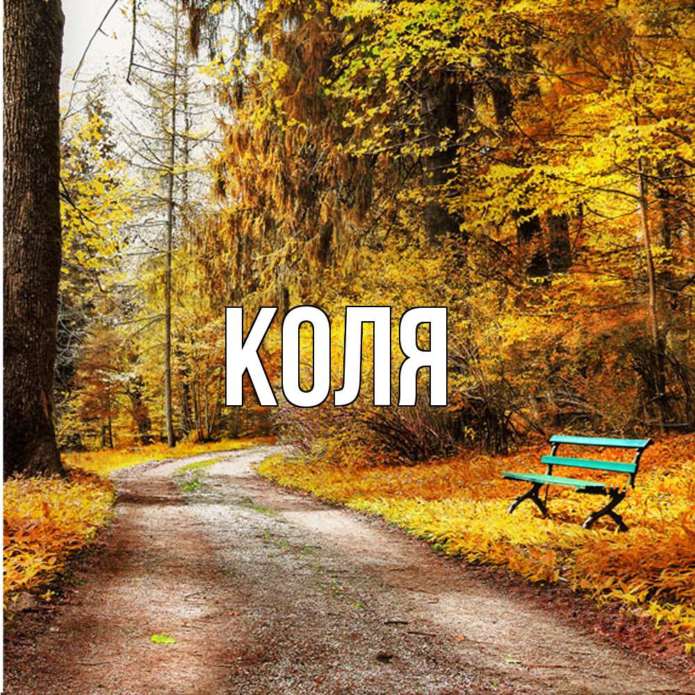 Открытка  с именем. коля, Главная  
