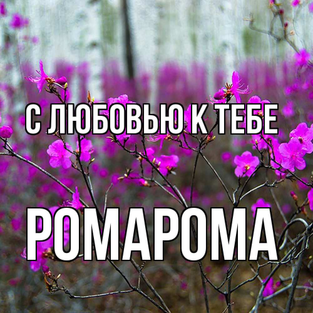 Открытка  с именем. РомаРома, С любовью к тебе  