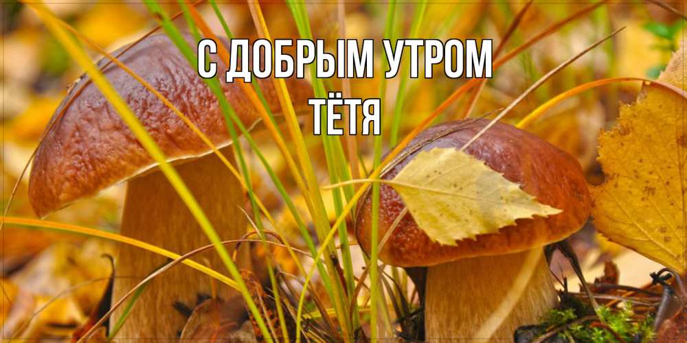 Открытка  с именем. Тётя, С добрым утром  