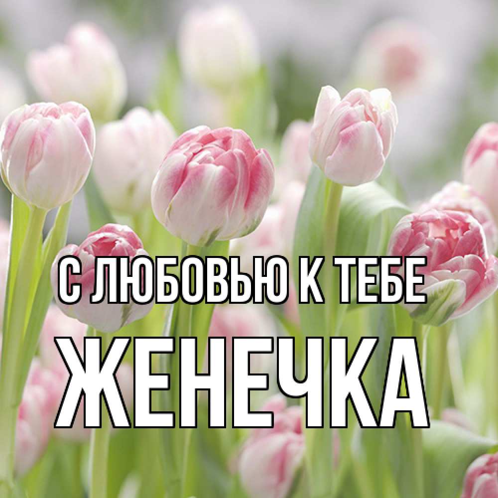 Открытка  с именем. Женечка, С любовью к тебе  