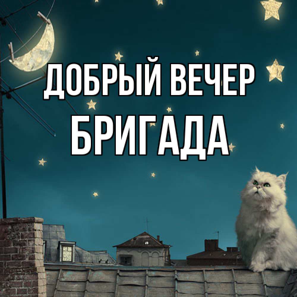 Открытка  с именем. Бригада, Добрый вечер  