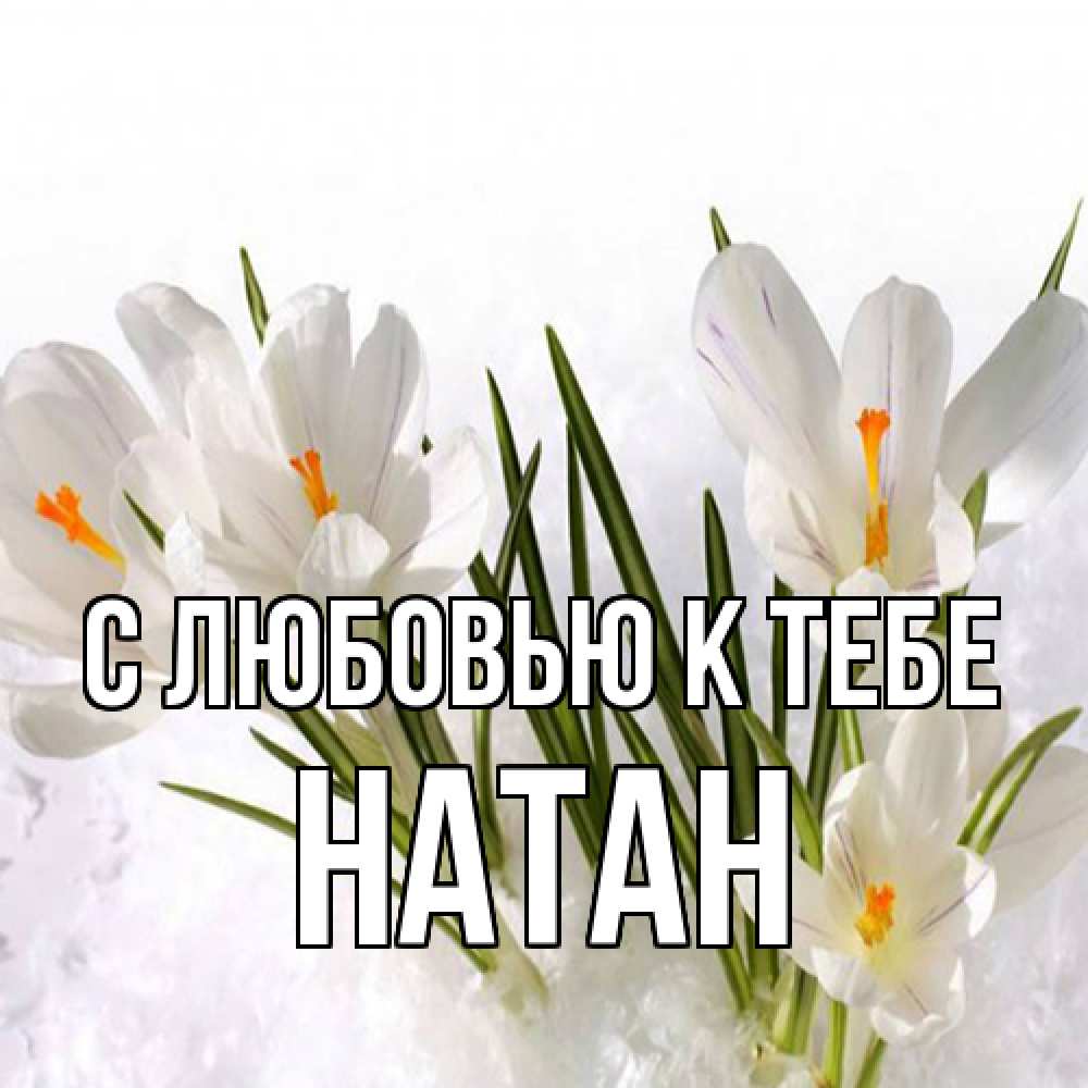 Открытка  с именем. Натан, С любовью к тебе  