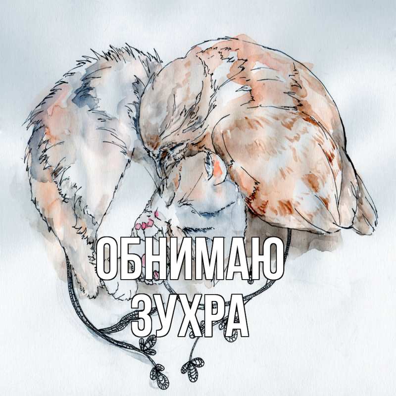 Картинка Обнимаю, Зухра