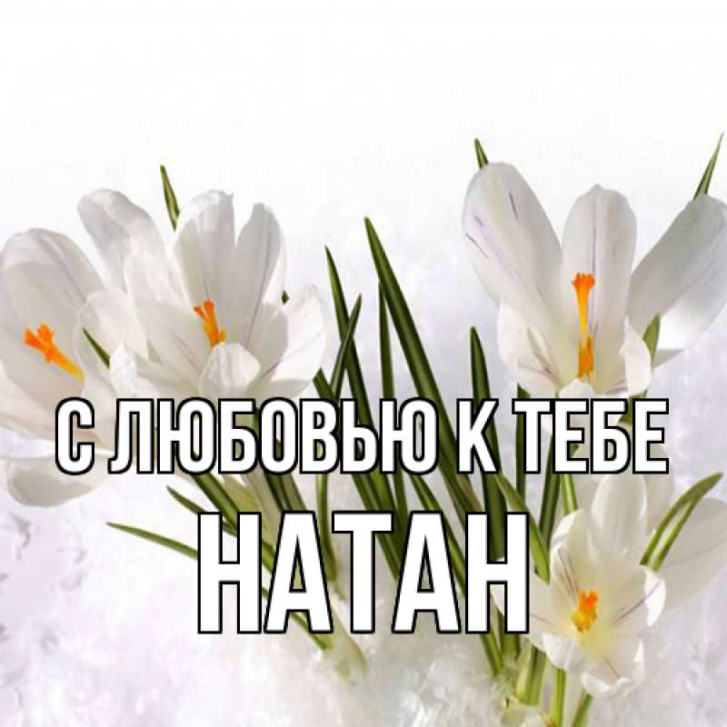 Картинка С любовью к тебе, Натан