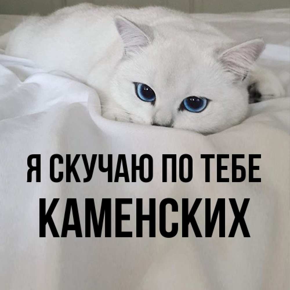 Открытка  с именем. Каменских, Я скучаю по тебе  