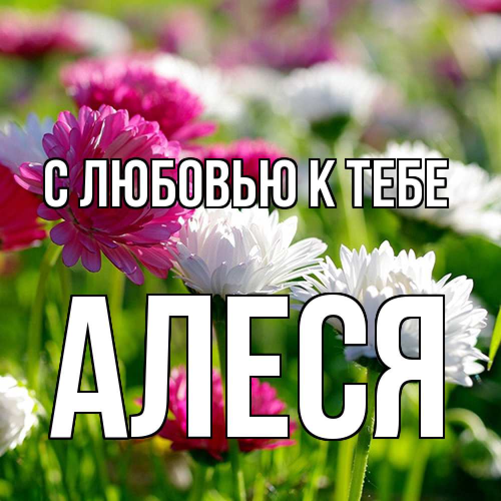 Открытка  с именем. Алеся, С любовью к тебе  