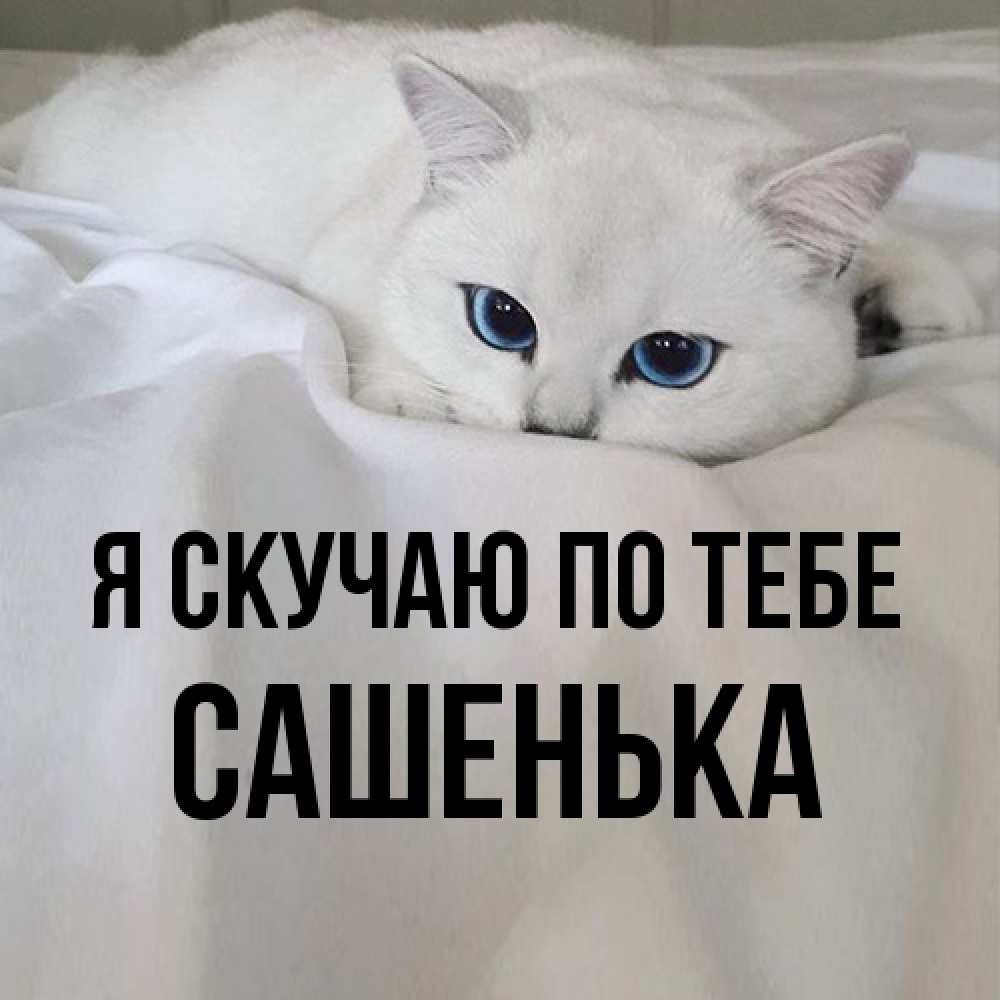 Открытка  с именем. Сашенька, Я скучаю по тебе  