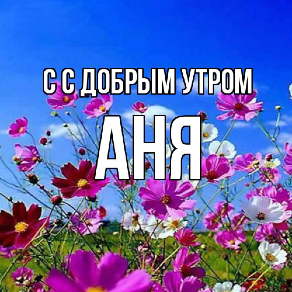 Открытка  с именем. Аня, С добрым утром  
